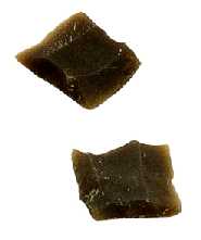 Traditions ENGLISH FLINT package of 2